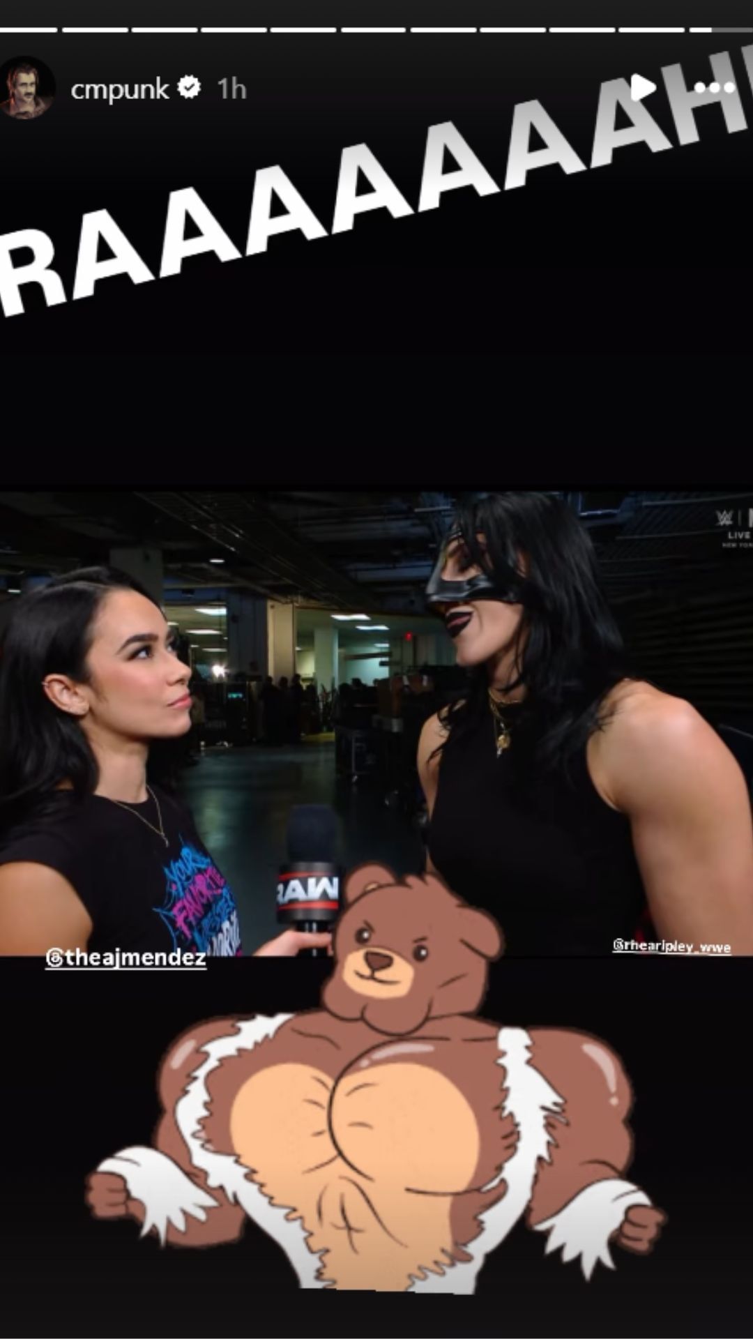 Screenshot of CM Punk&#039;s Instagram story [Source: Punk&#039;s Instagram]