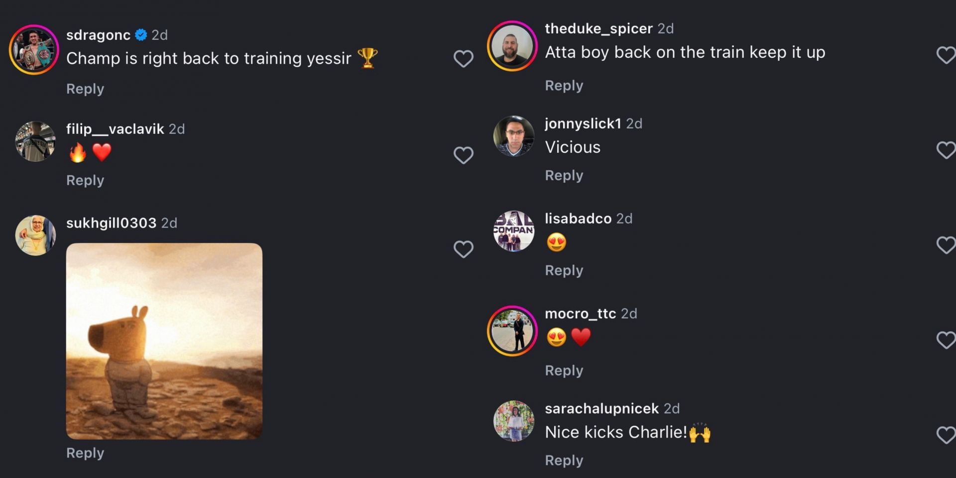 Fans react to Peacock&#039;s Instagram post. [Screenshots from Instagram @jake_leestriking]