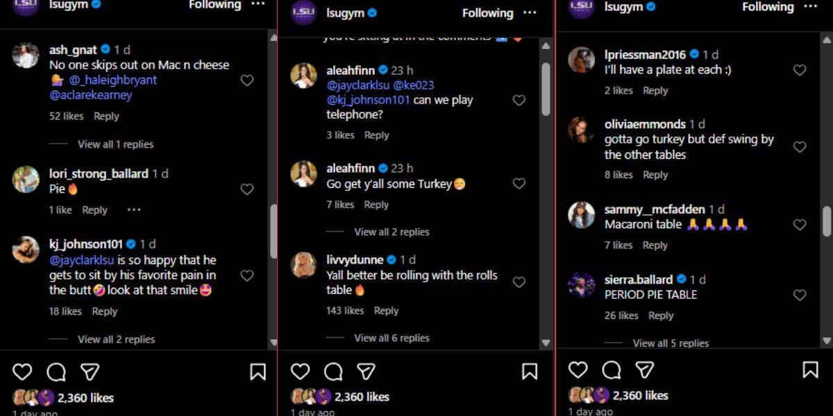 Screenshot of the Instagram post&#039;s comment section.
