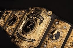 Former AEW Women's Champion announces she's getting divorced