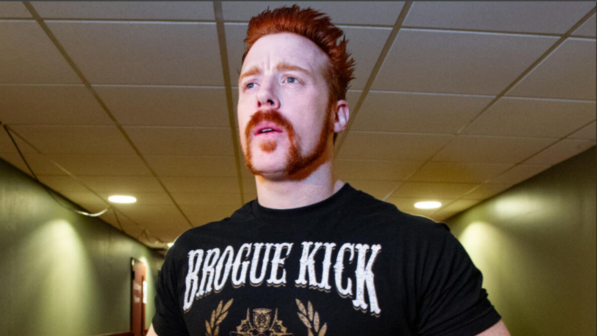 Sheamus is a former WWE Champion. (Image via WWE.com) 