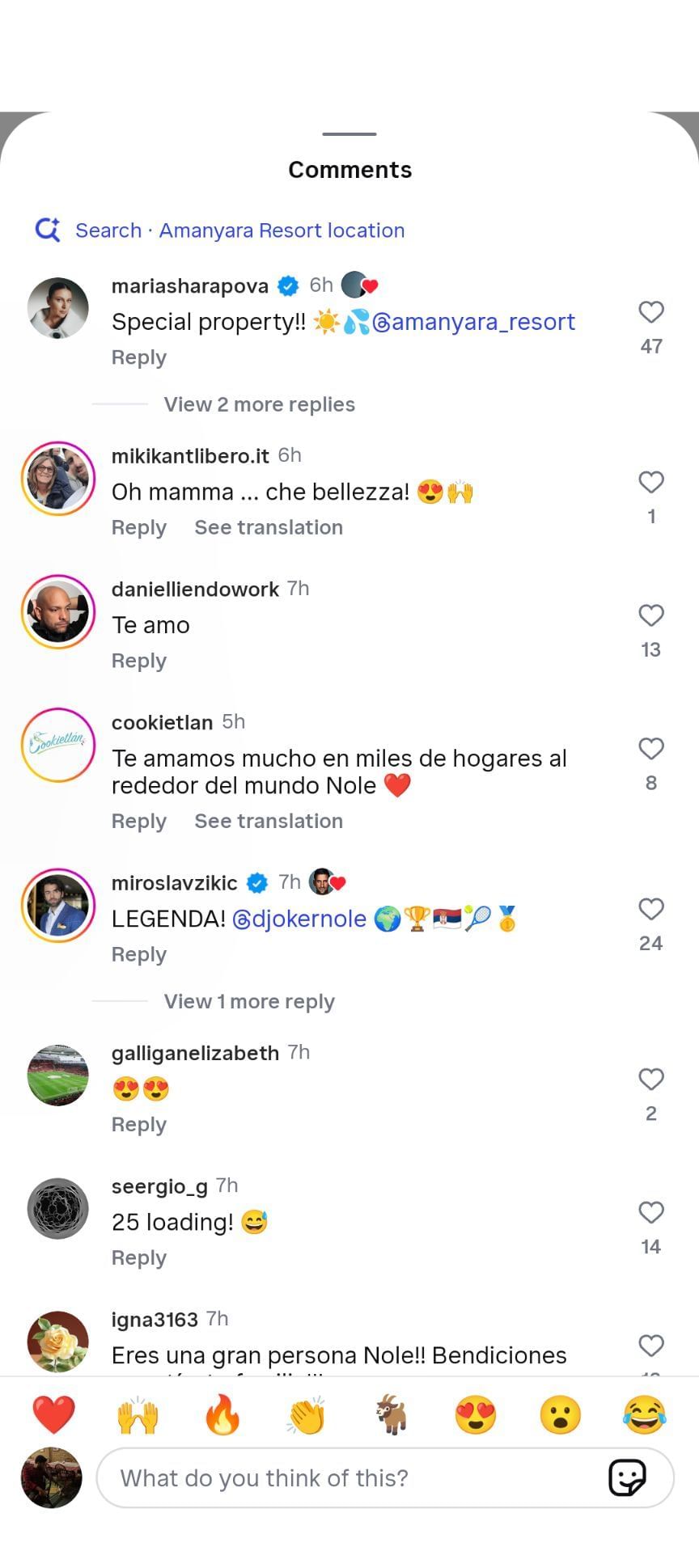 Sharapova comments on a post by Novak Djokovic - Image Source: @djokernole Instagram