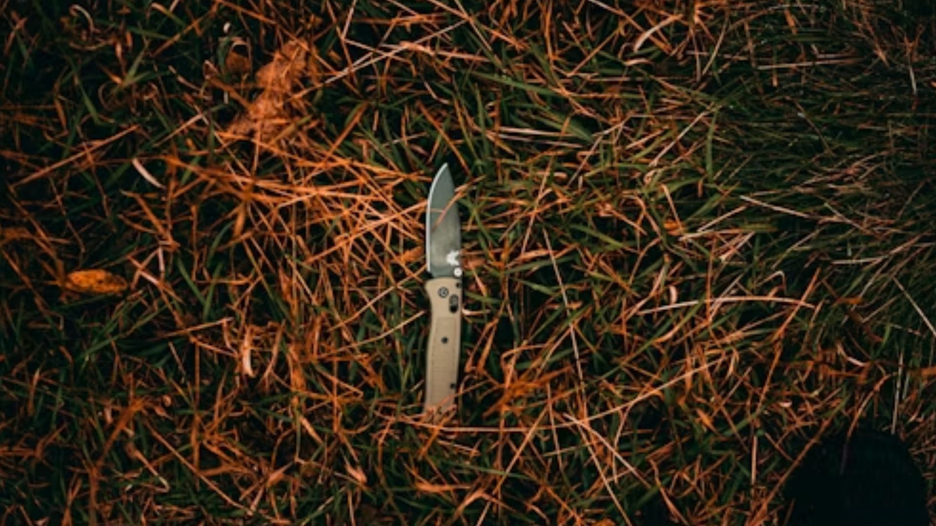 Everything to know about the Oxygen series Killer Relationship With Faith Jenkins season 4 (Image via Unsplash)