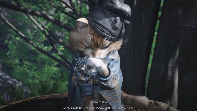 All Sundara Land Meow Meow puzzle in Where Winds Meet (Qinghe)