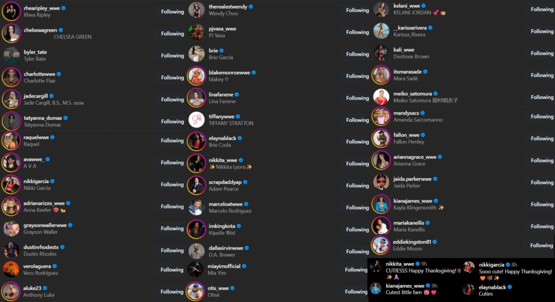 WWE stars like and comment on Roxanne Perez&#039;s Instagram post. (Photo: @roxanne_wwe on IG)