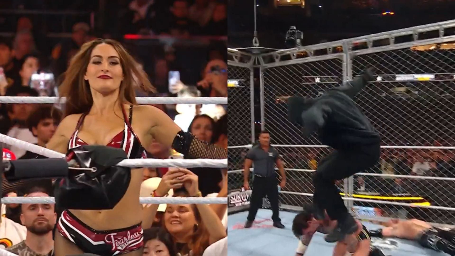 Nikki Bella [left] and the masked man [right] Image Credits: WWE