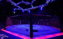 Former UFC star Godofredo Pepey found dead in jail cell days before court hearing