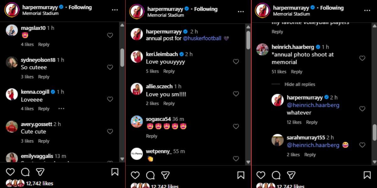 Screenshot of the Instagram post&#039;s comment section.