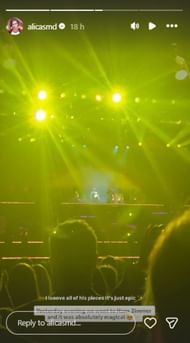 Screenshot of Schmidt's Instagram story.