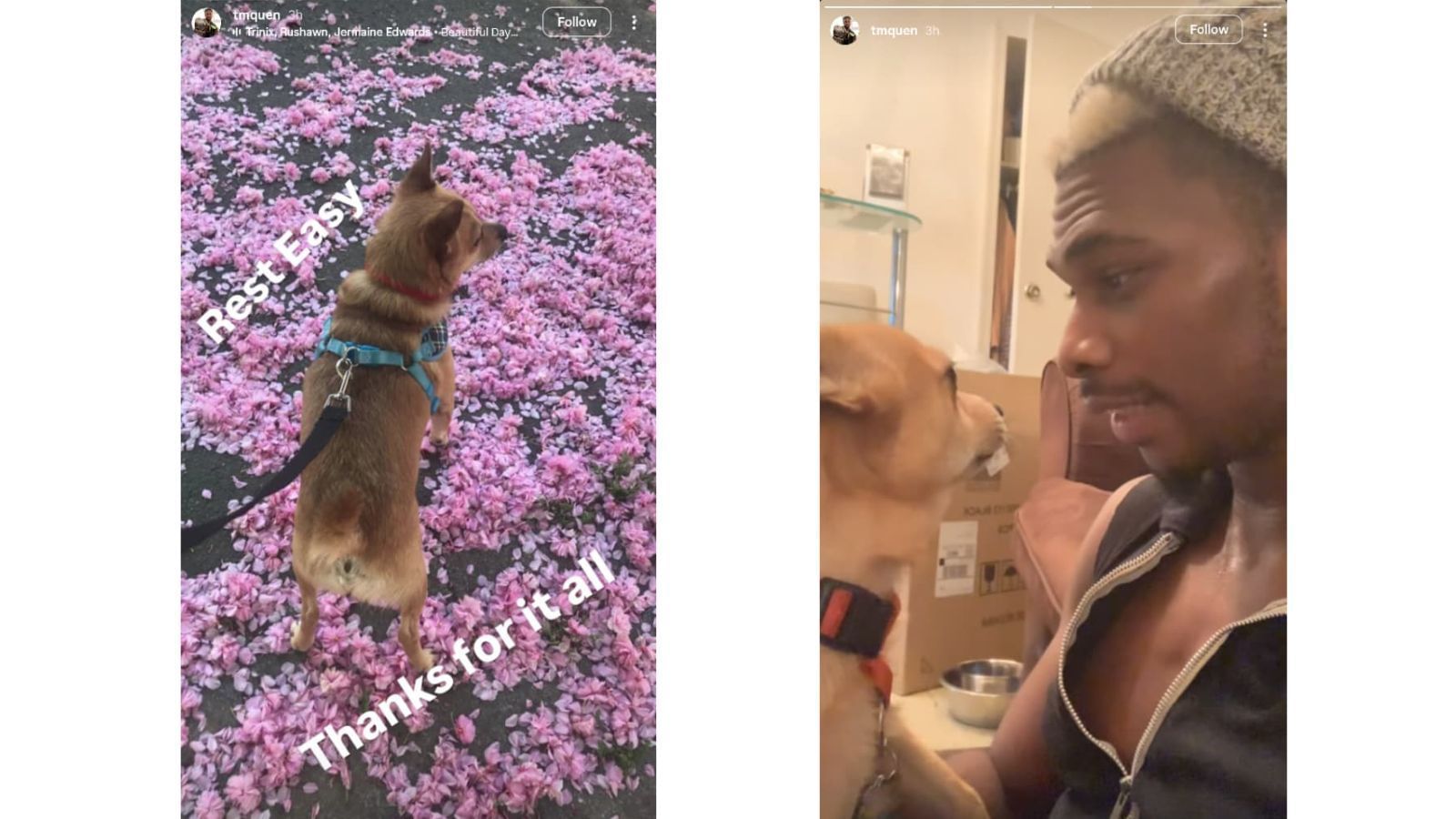 Marq Quen&#039;s Instagram story [Images via Quen&#039;s Instagram]