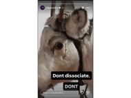 Shiffrin's Instagram story