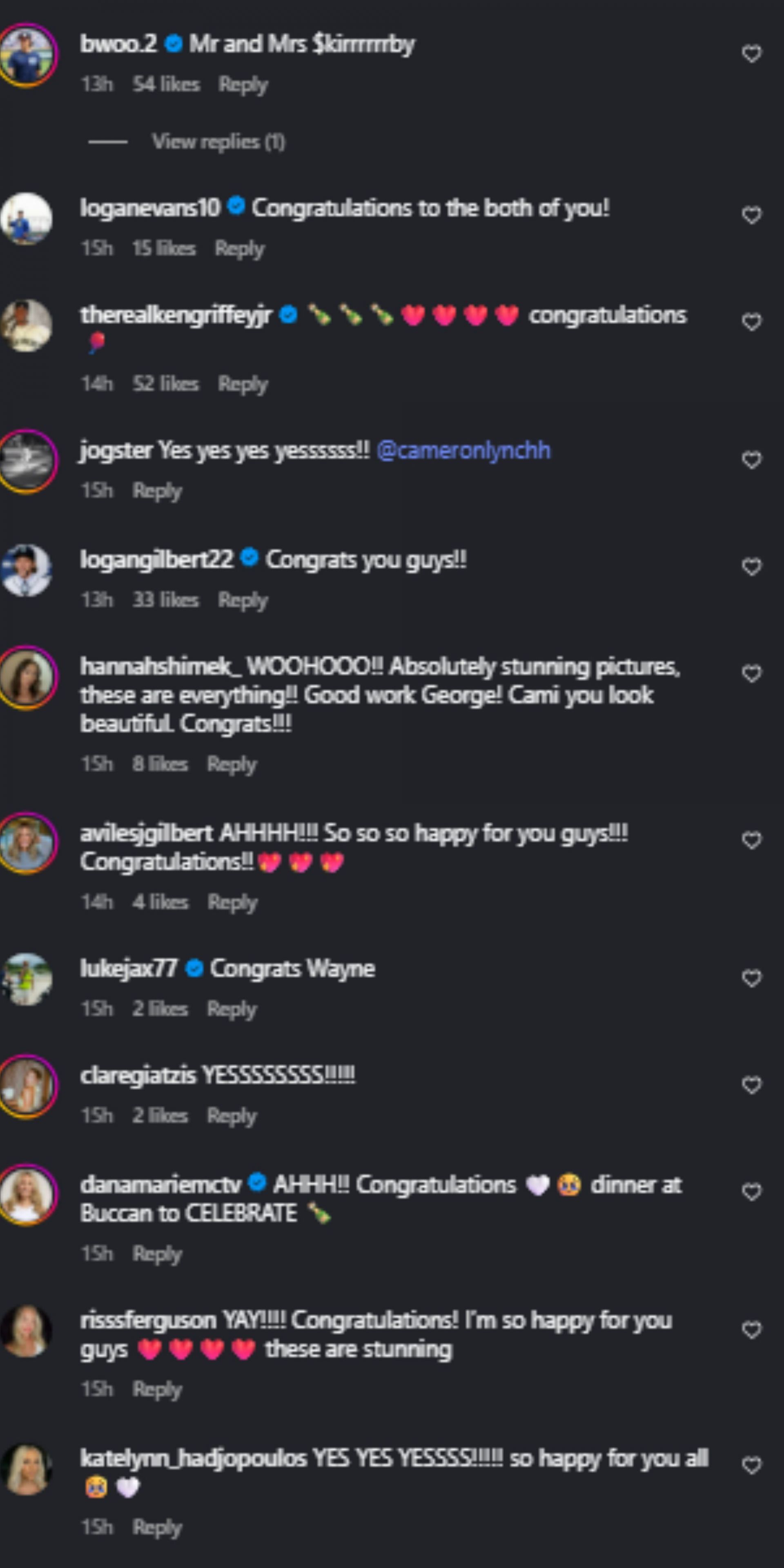 Screenshot of comments [Image Source: Instagram/gkirb32]