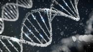 Investigators analyze envelope DNA and use genetic genealogy (Image via Unsplash)