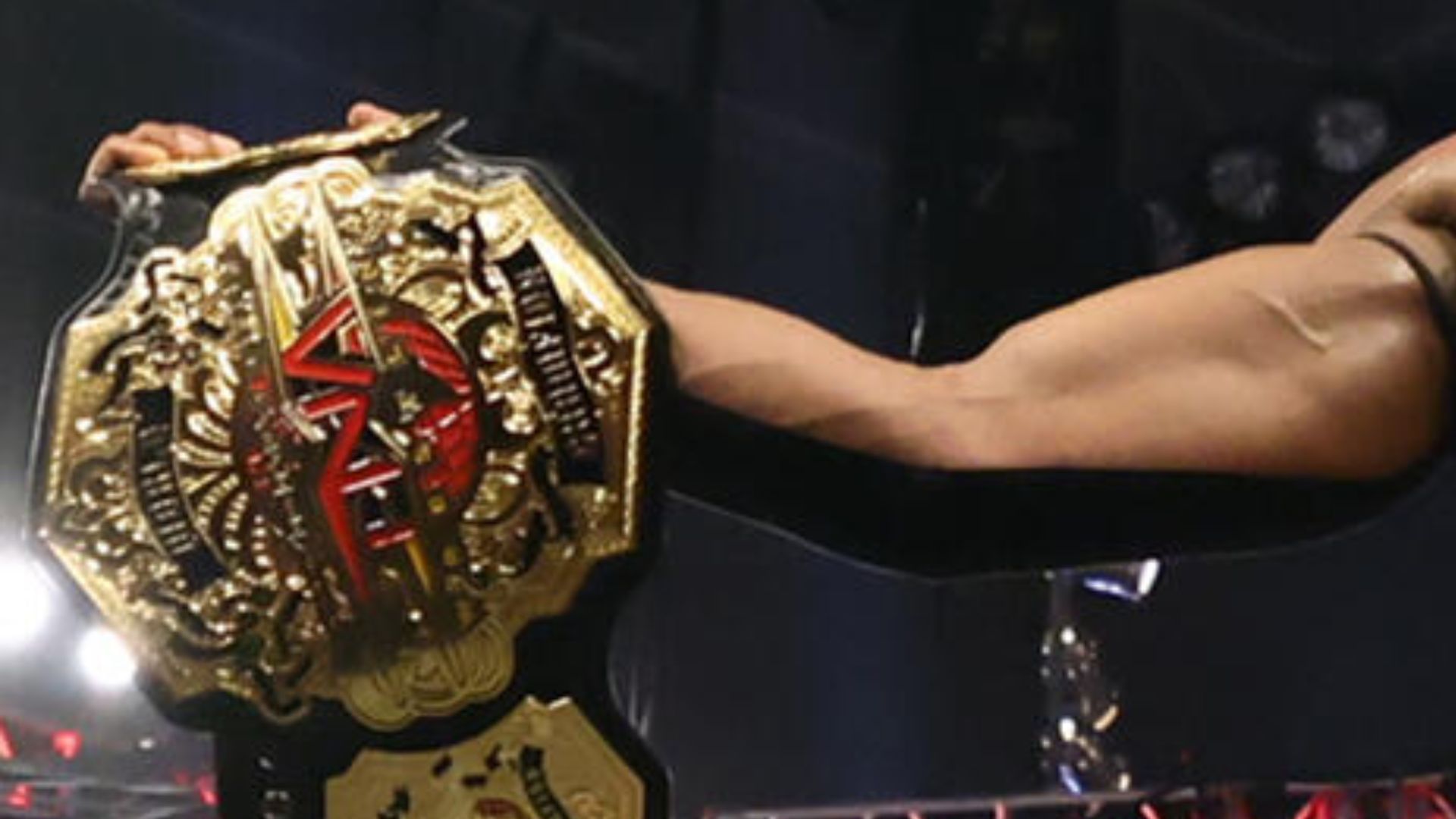 The title was highlighted (Credit: WWE.com)