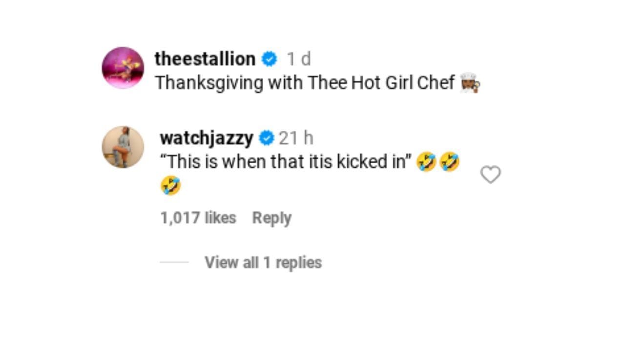 Zdroj: (cez Instagram/ @theestallion)