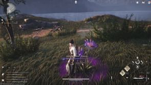 How to loot the Enchanting Lotus in Where Winds Meet