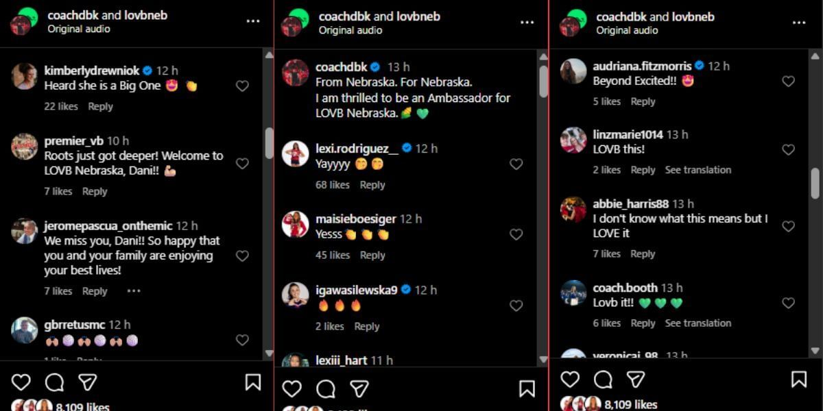 Screenshot of the Instagram post&#039;s comment section.
