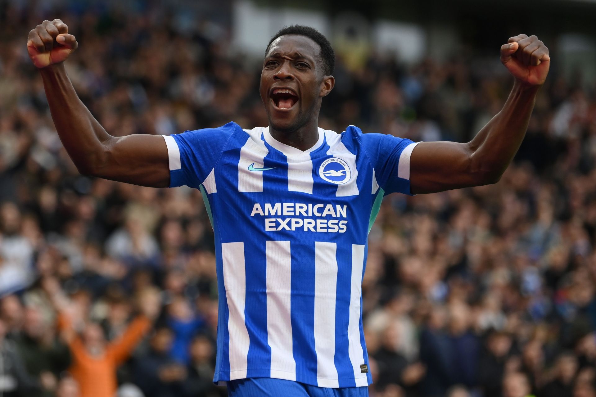 Brighton &amp; Hove Albion v Newcastle United - Premier League - Source: Getty