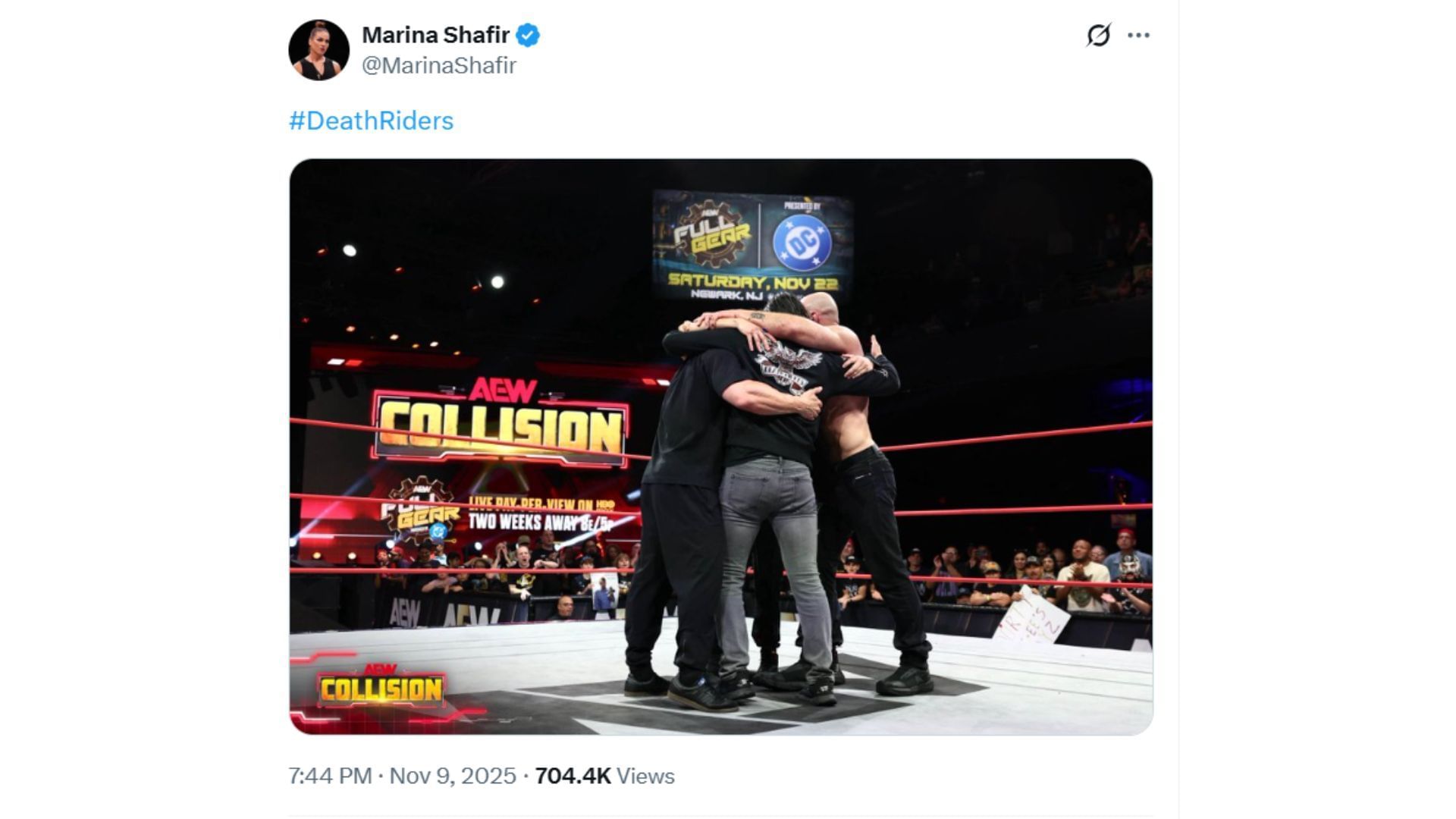 Ảnh chụp màn hình dòng tweet của Marina Shafir [Source : Shafir's X profile]