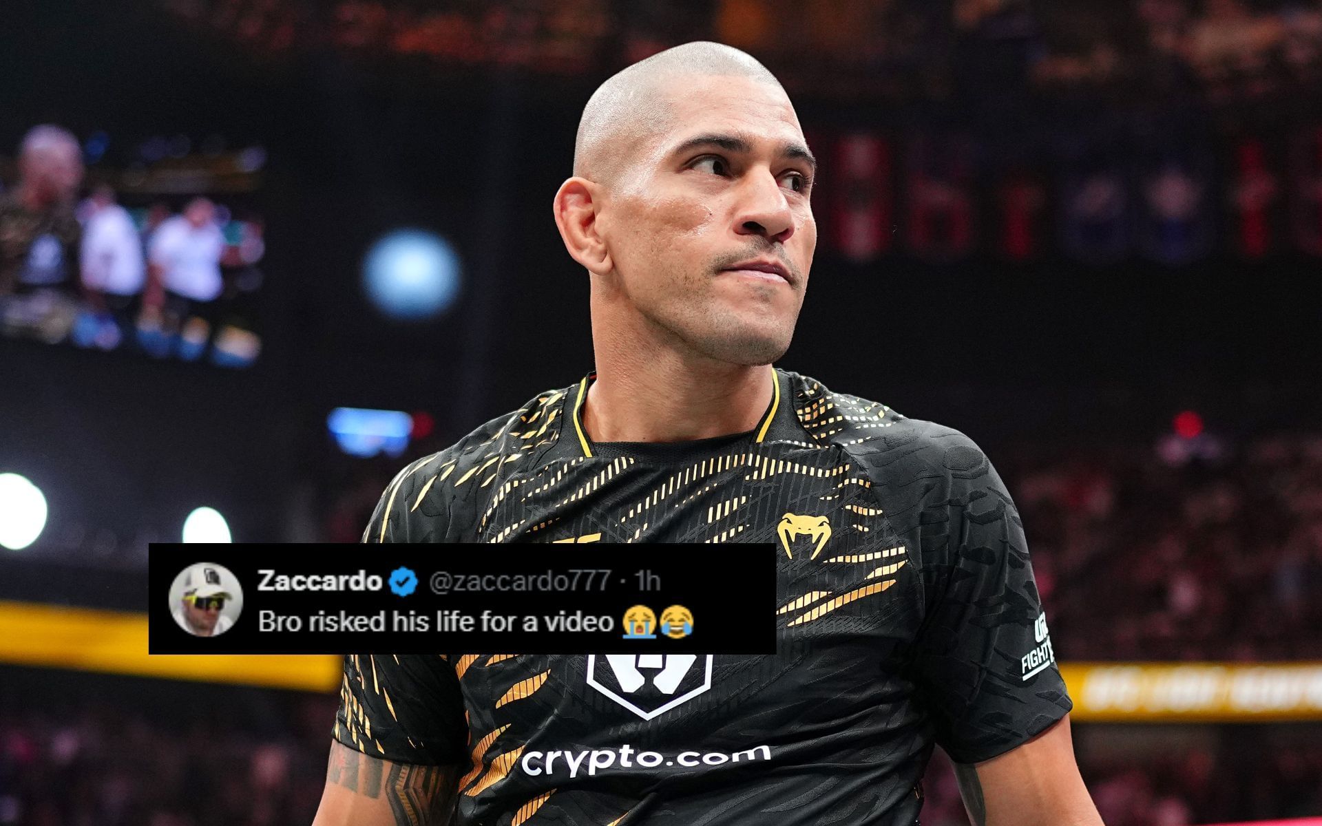 Fans react to Alex Pereira being pranked by Nina-Marie Daniele. [Image courtesy: Getty]