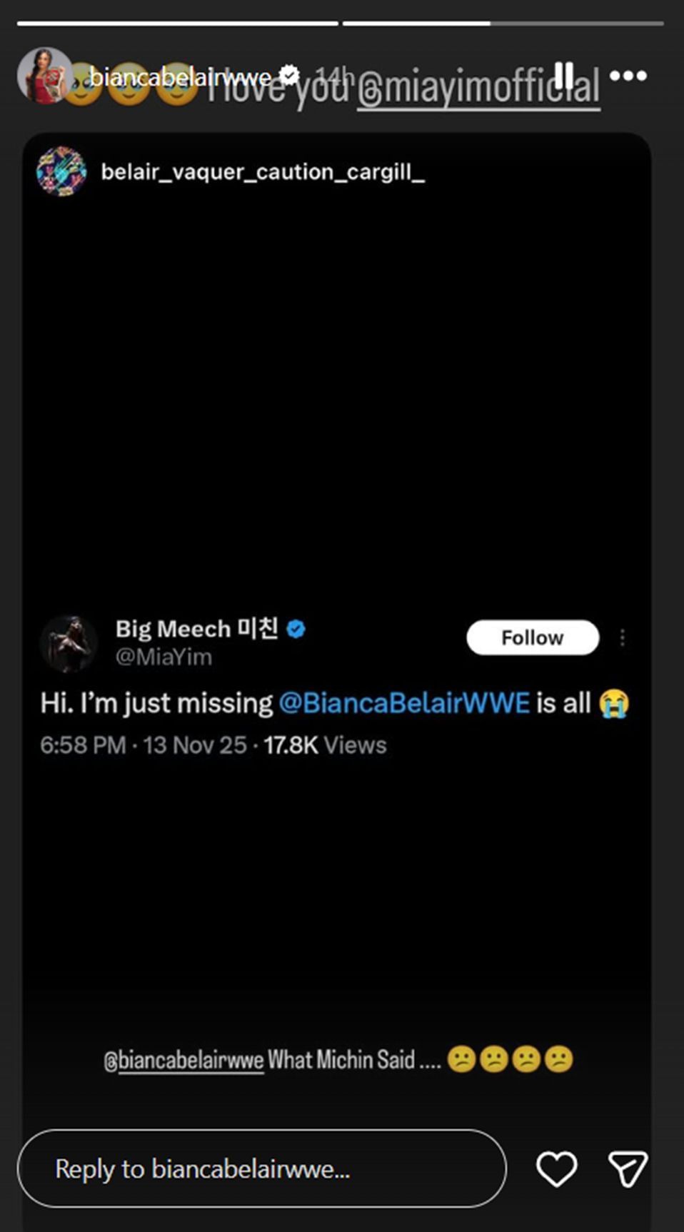 Bianca Belair has been missing for more than six months 