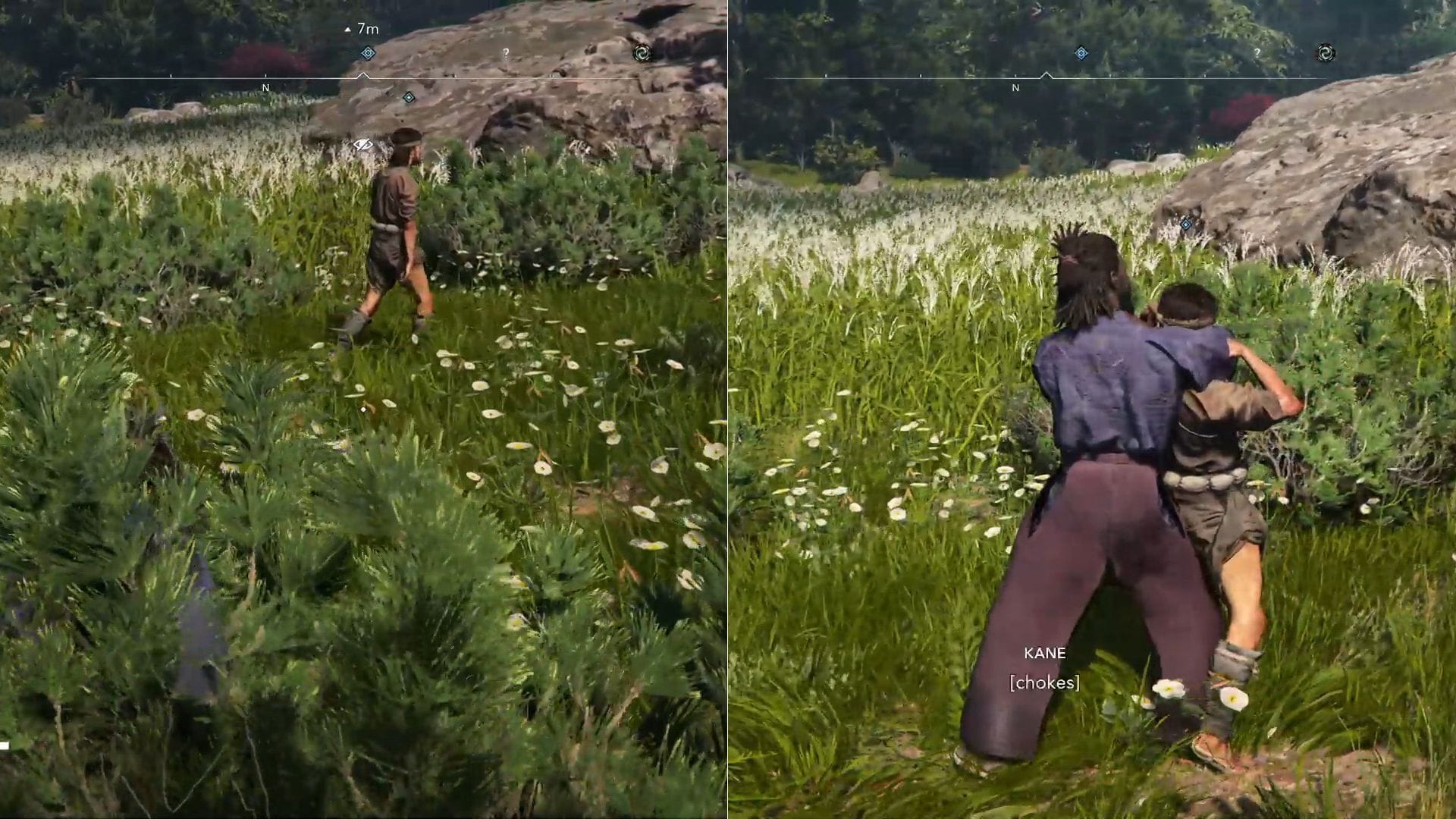 Stay hidden in the bush, and wait for the right moment (Image via Ubisoft)