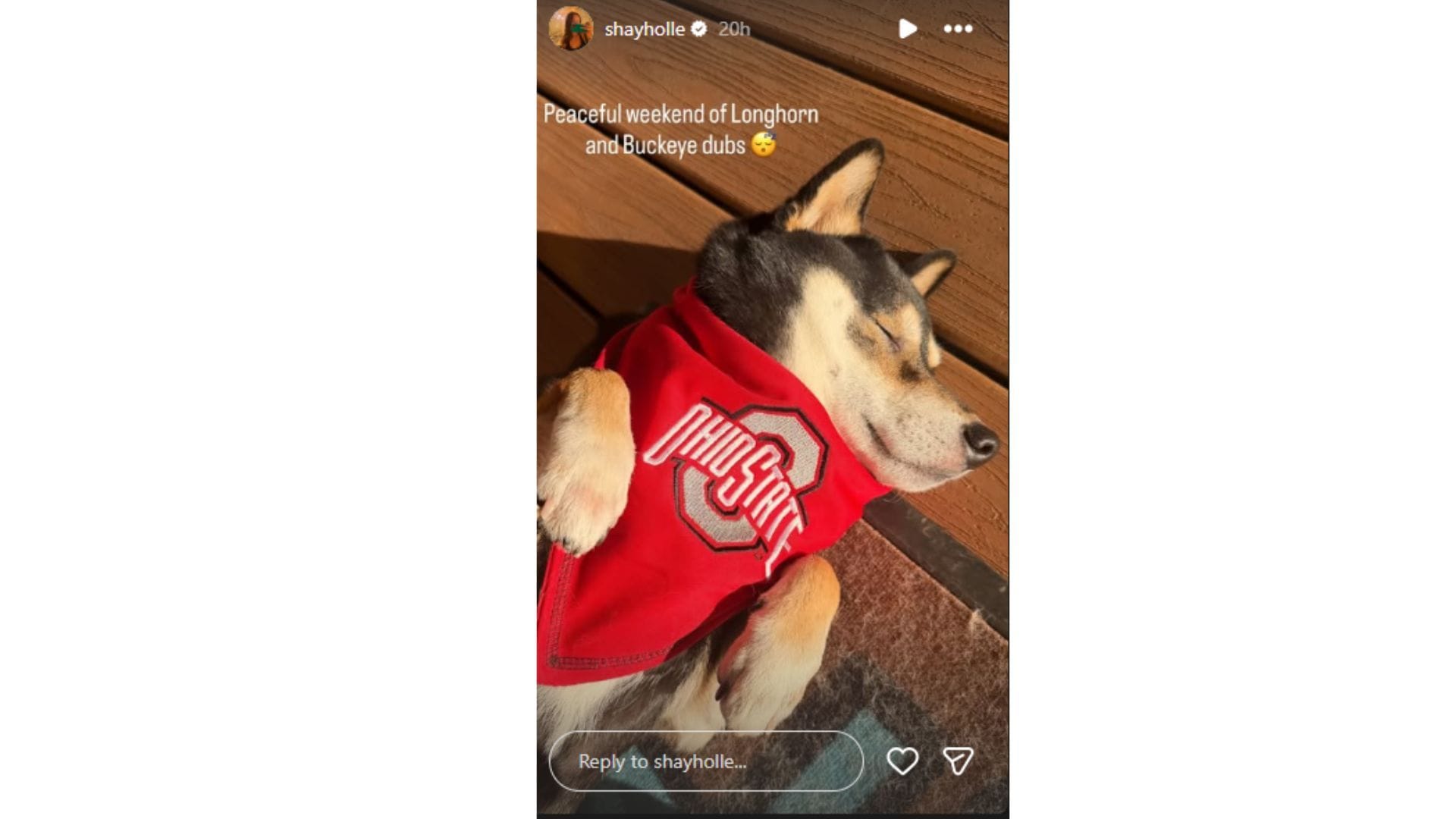 Shay Holle celebrated Ohio State&#039;s win over Michigan. (Credit: @shayholle)