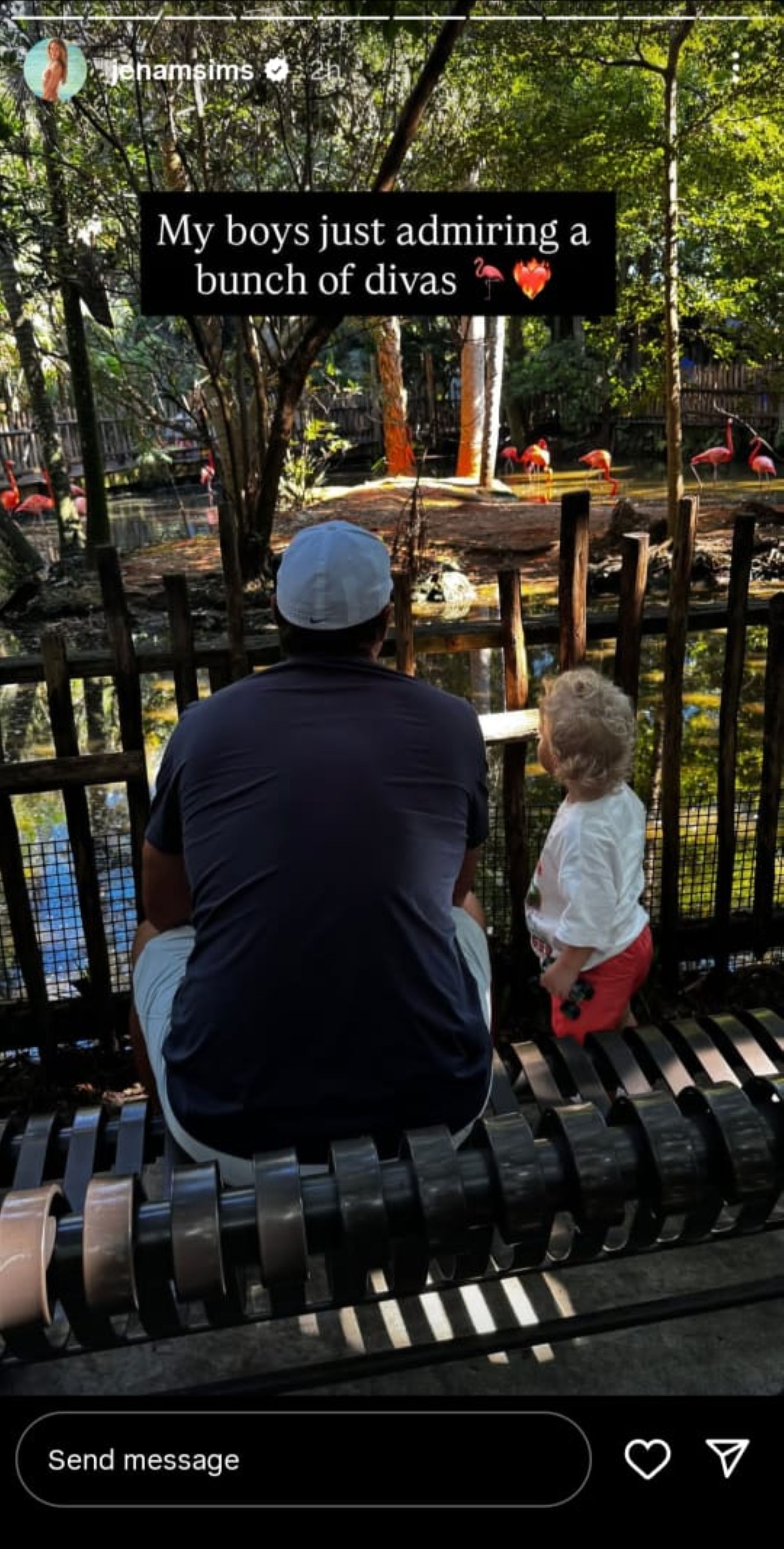 A screenshot from Jena Sims&#039; Instagram story (via @jenamsims)