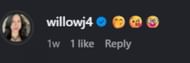 Willow Johnson's comment (Image Source: Instagram/bryanbattle68)