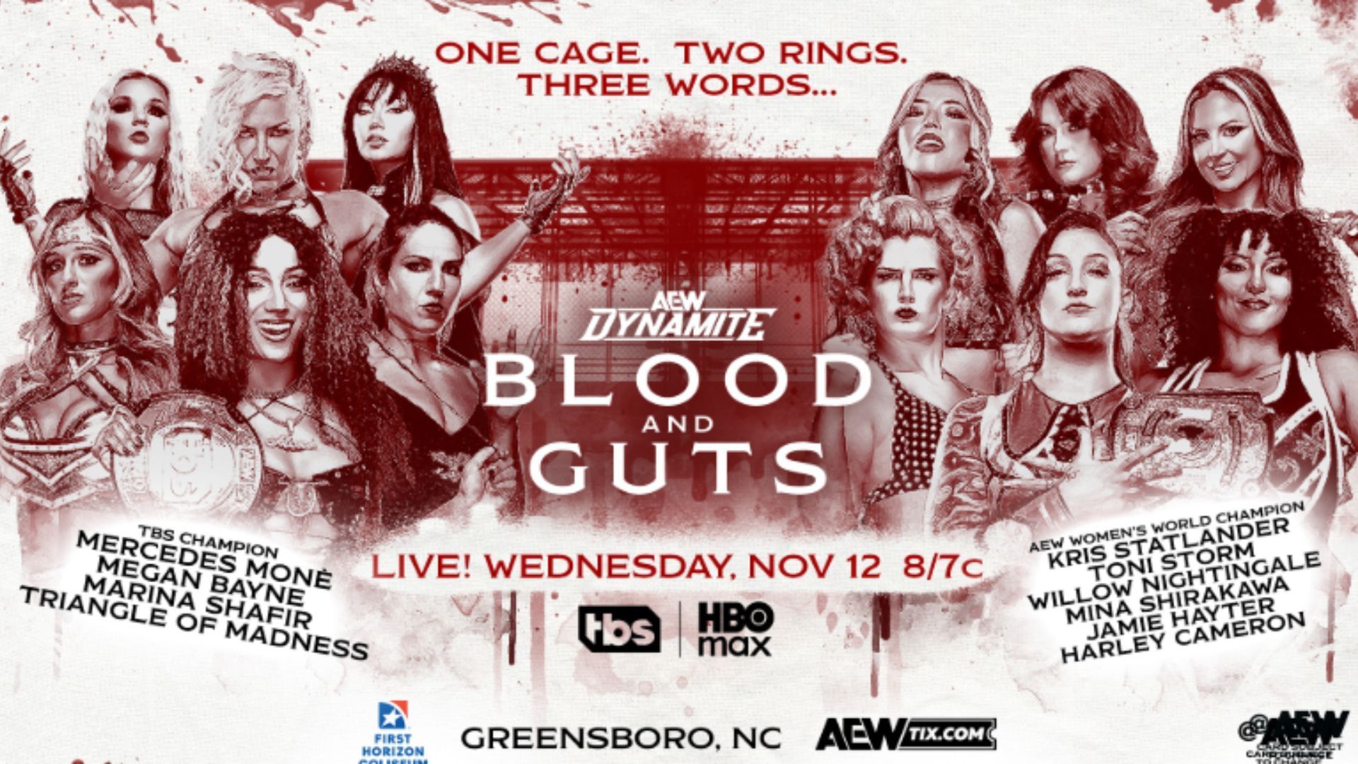 Match graphic for the Women&#039;s Blood and Guts match [Image via @AEW on X]