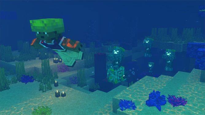 All types of nautilus in Minecraft