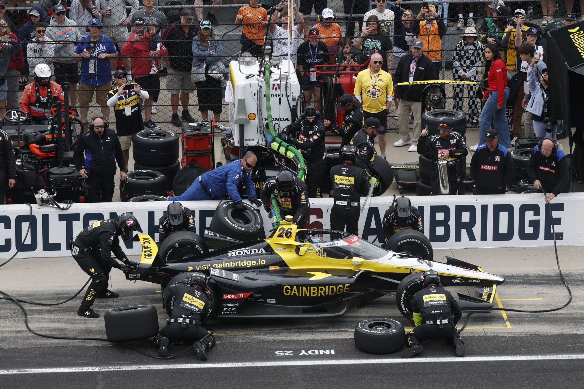 The Andretti Global Honda of Colton Herta during a pit stop at the 109th Indianapolis 500 - Source: Getty