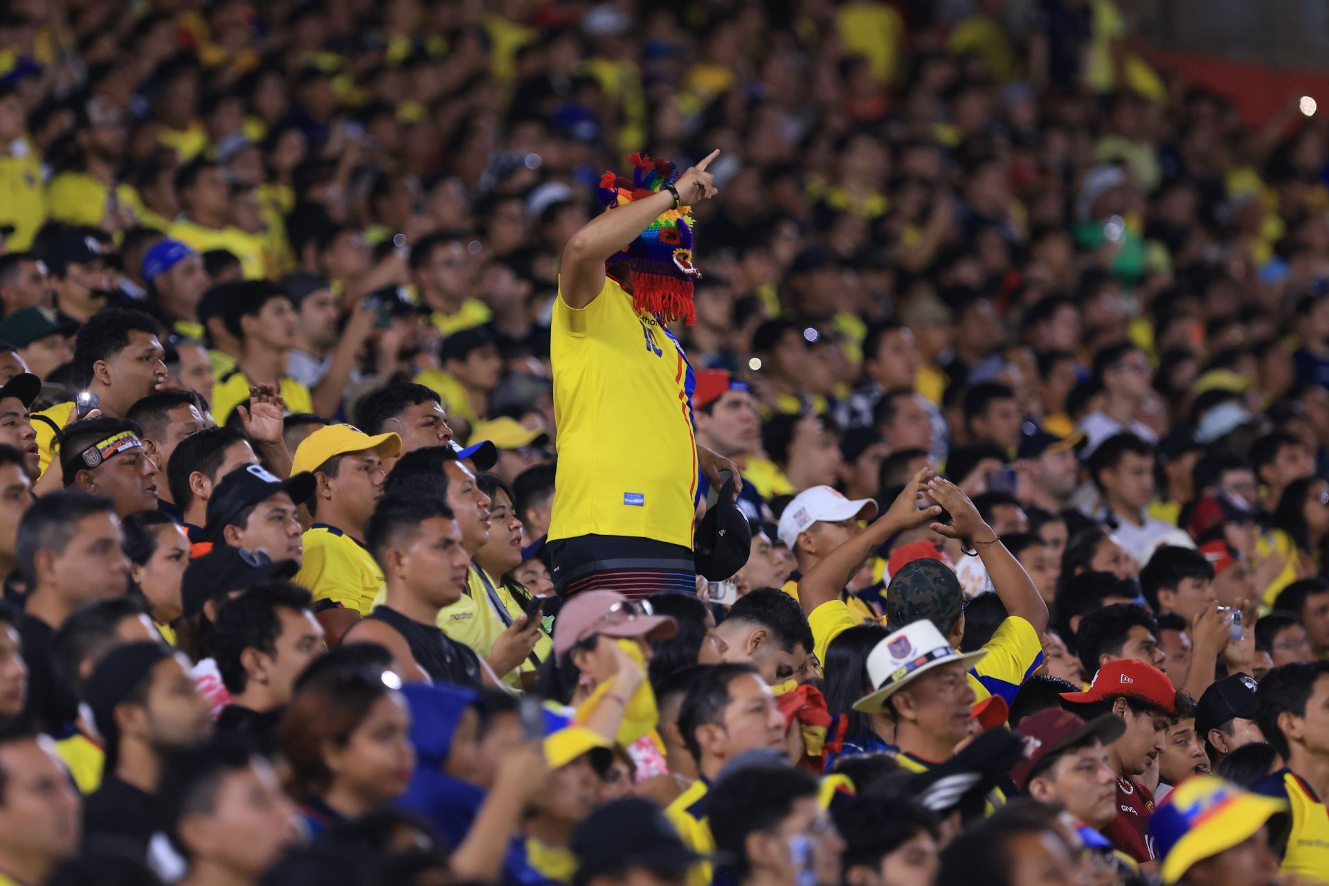 Ecuador vs New Zealand Prediction and Betting Tips | November 18th 2025