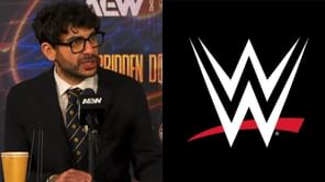 Tony Khan willing to talk to former WWE star for a potential AEW debut