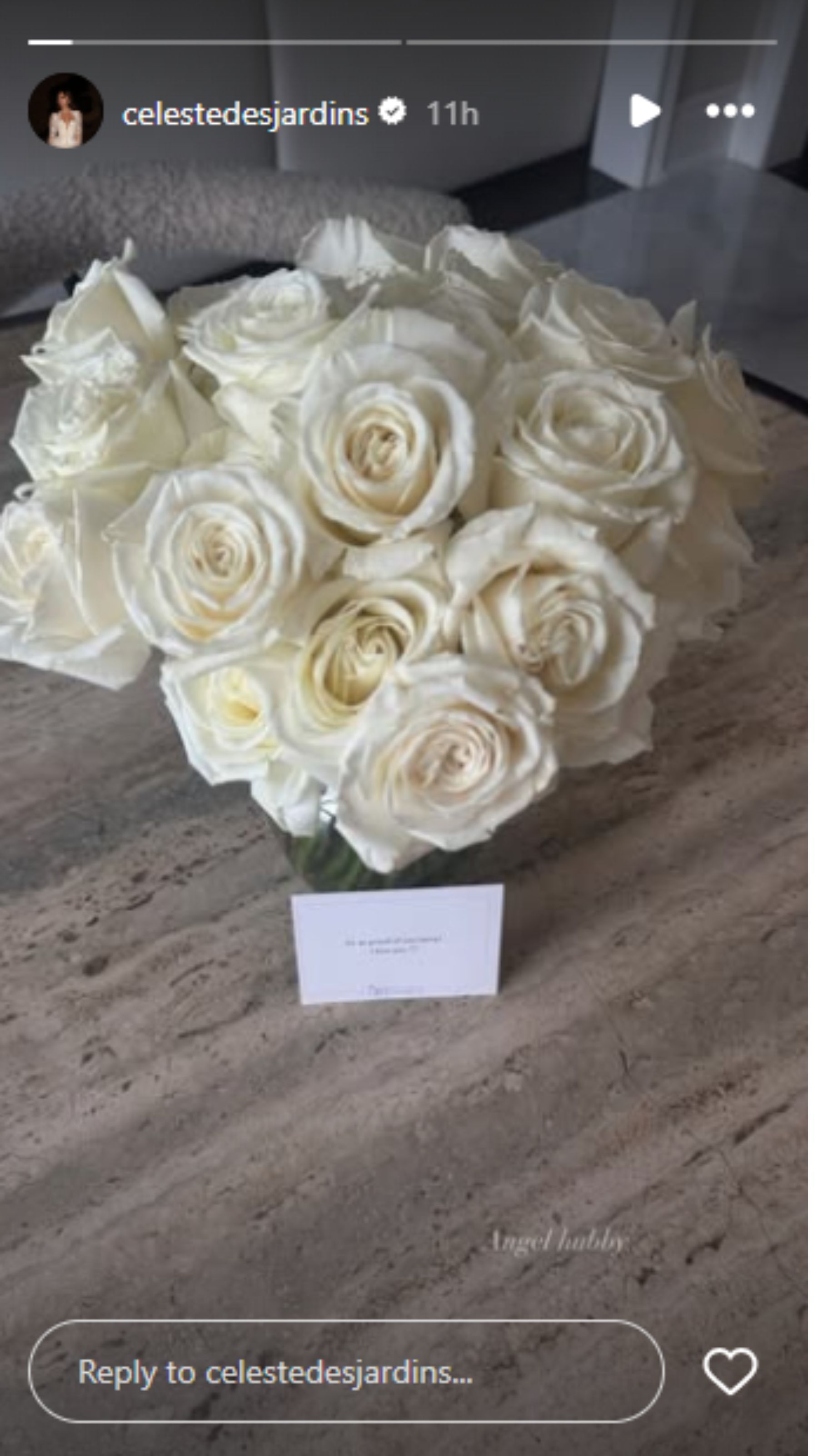 via Instagram /@celestedesjardins