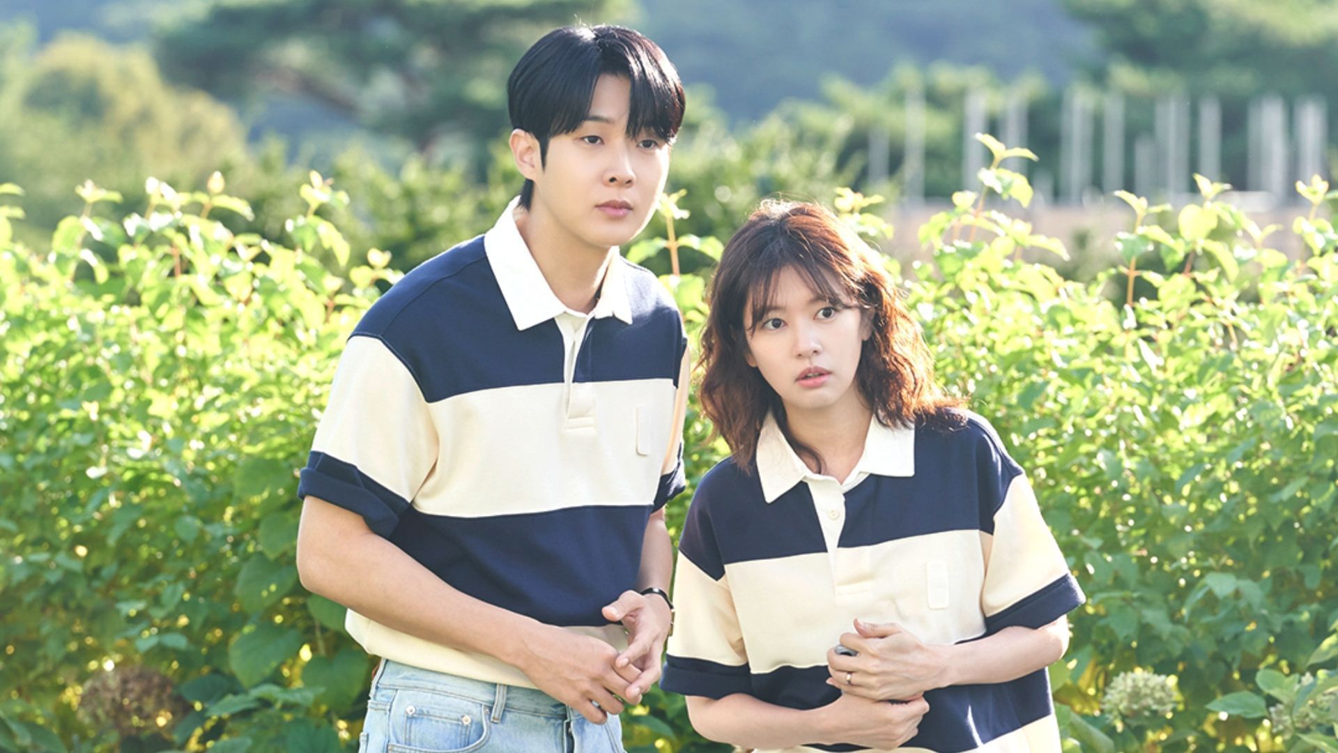 Bạn sẽ cưới tôi chứ (Hình ảnh qua X/@SBSNOW)