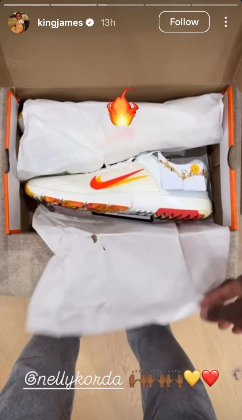 LeBron James&#039; story of his shoes - via @kimngjames on Instagram