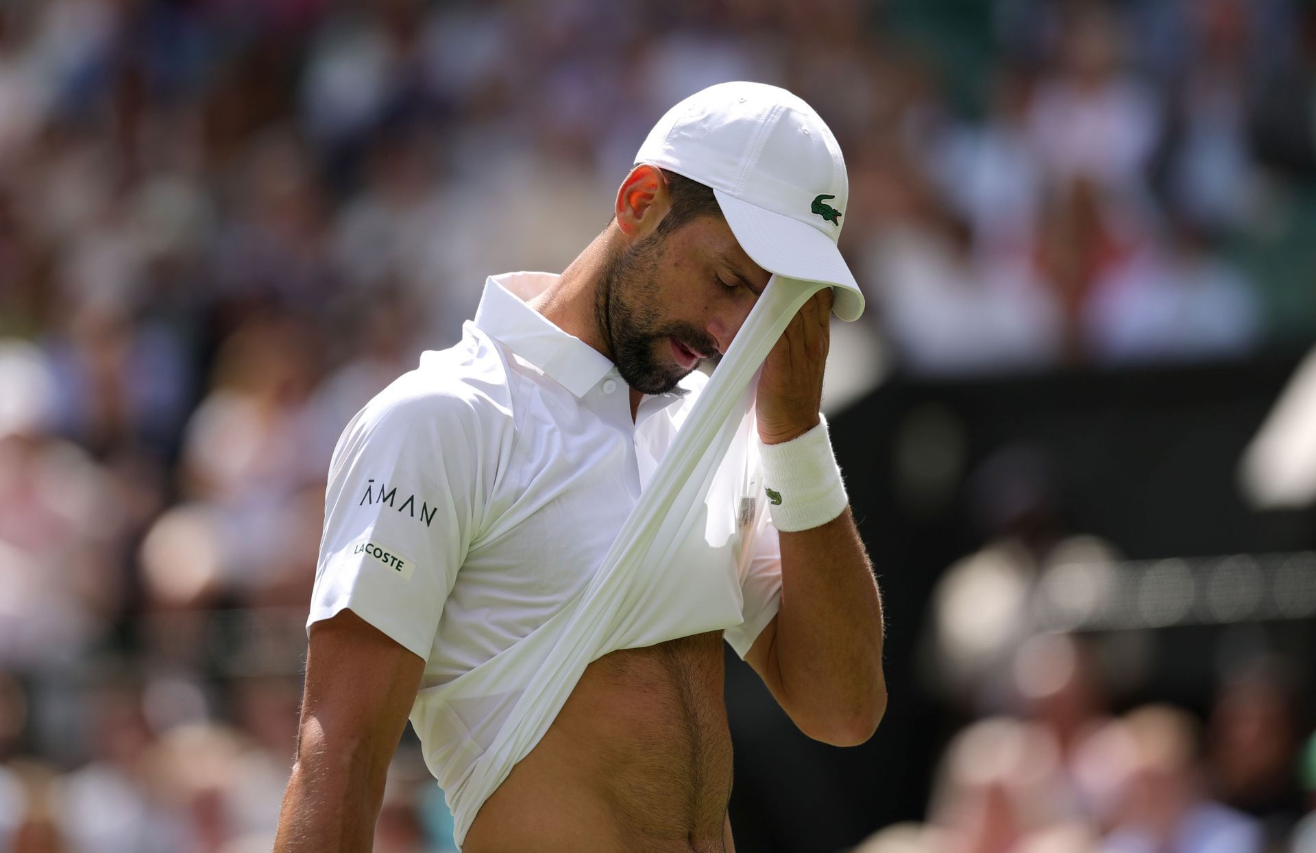 Novak Djokovic at Wimbledon 2025 - Source: Getty