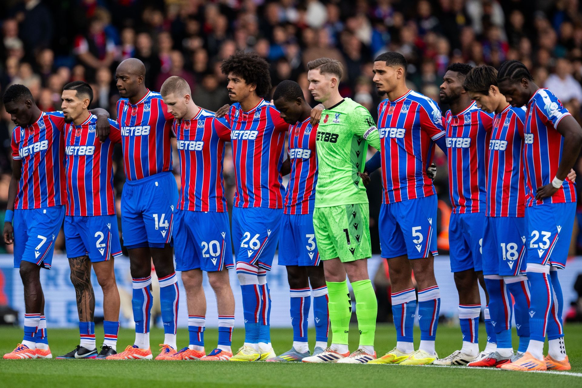 Crystal Palace v Brighton &amp; Hove Albion - Premier League - Source: Getty