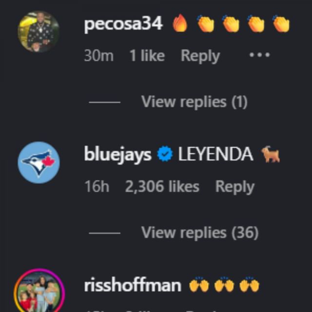 Screenshot of comments [Image Source: Instagram/vladdyjr27]