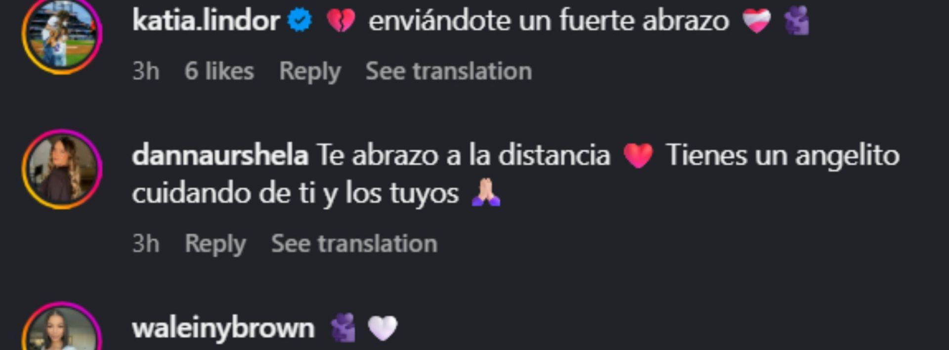 Screenshot of comments [Image Source: Instagram/irmariebaez]