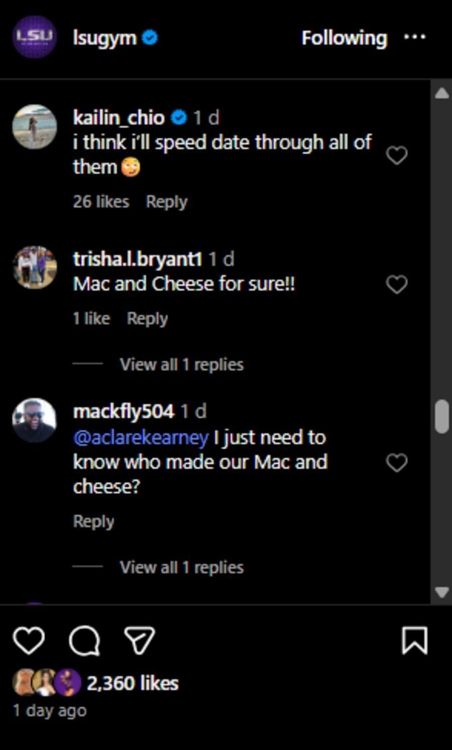 Screenshot of the Instagram post&#039;s comment section.