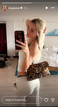 Screenshot of Dunne's Instagram story.