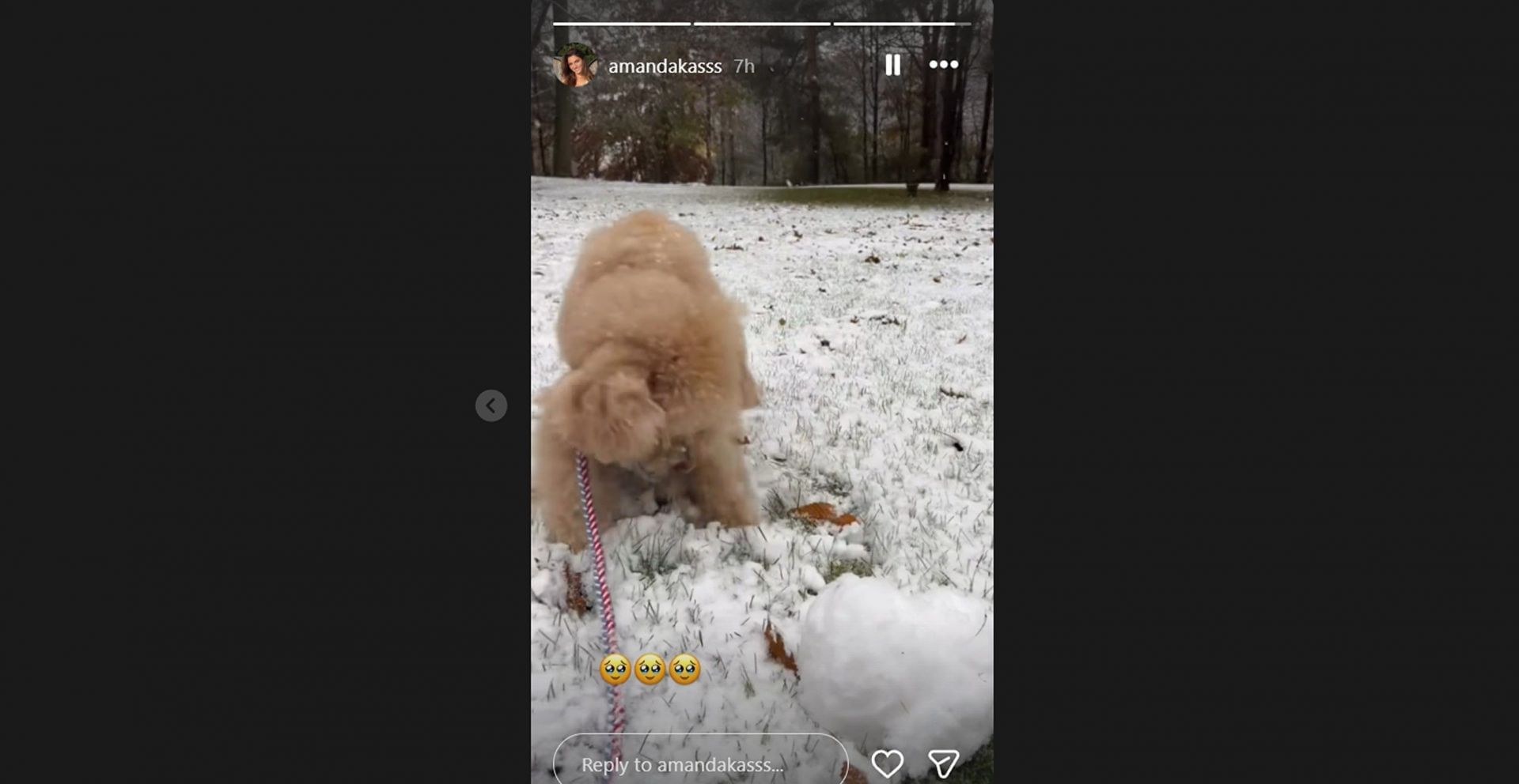 Joey Bosa&#039;s fianc&eacute;e Amanda Kassdikian&#039;s IG story/@amandakasss