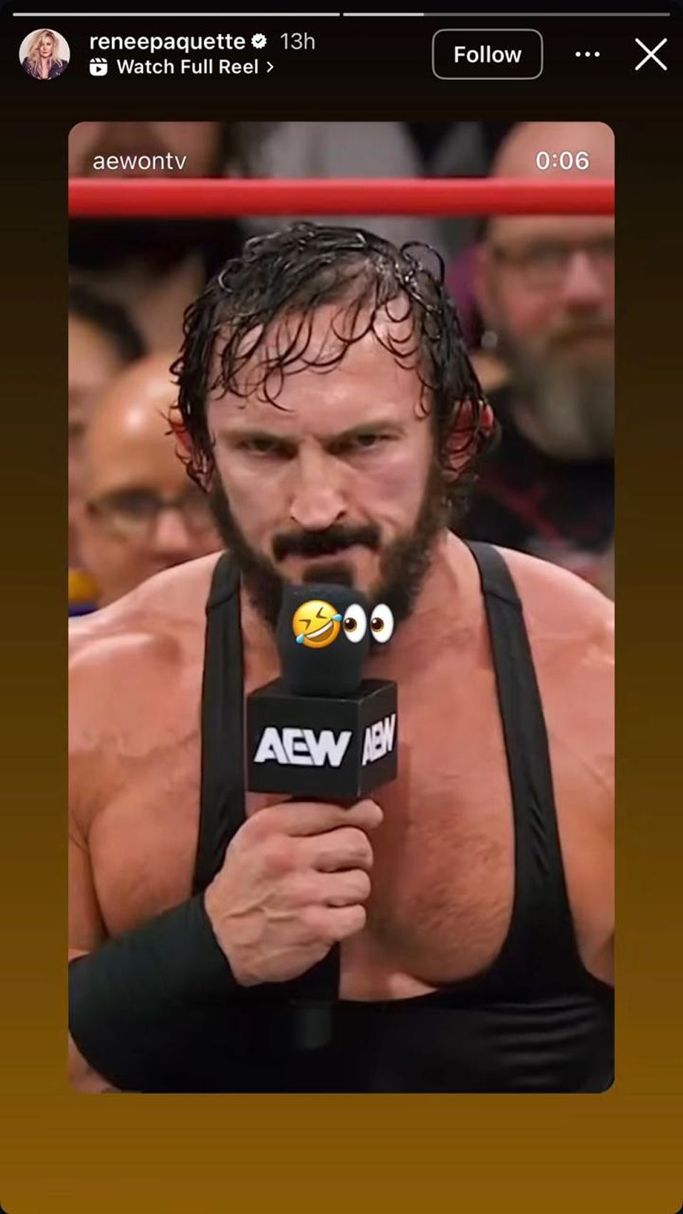 Screengrab of Renee Paquette&#039;s Instagram Story (Image credit: Renee&#039;s Instagram account)