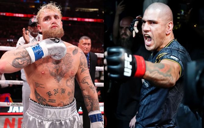 "His team is down" - Jake Paul shares major stumbling block to "massive fight" against Alex Pereira