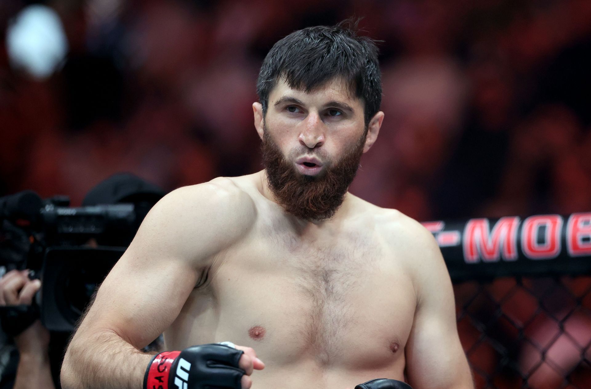 UFC 320: Ankalaev v Pereira 2 - Source: Getty