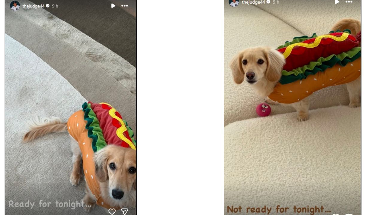 (Image source -Aaron Judge/Instagram)