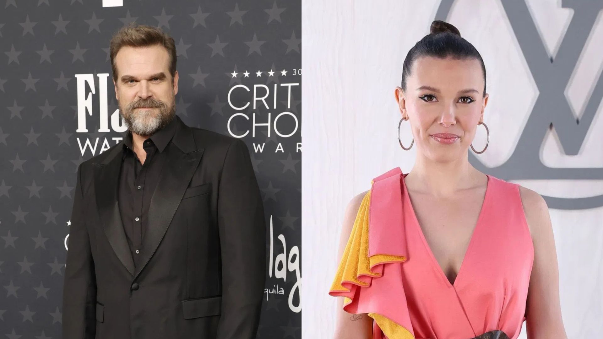 Are Lily Allen and David Harbour still married? Details explored amidst Millie Bobby Brown’s harassment claim ahead of Stranger Things 5 release