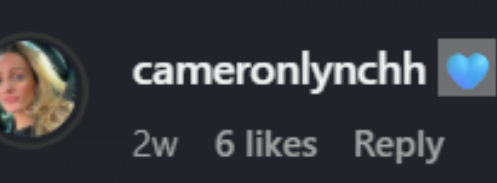 Screenshot of comment [Image Source: Instagram/gkirb32]